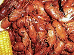 Boiled Crawfish